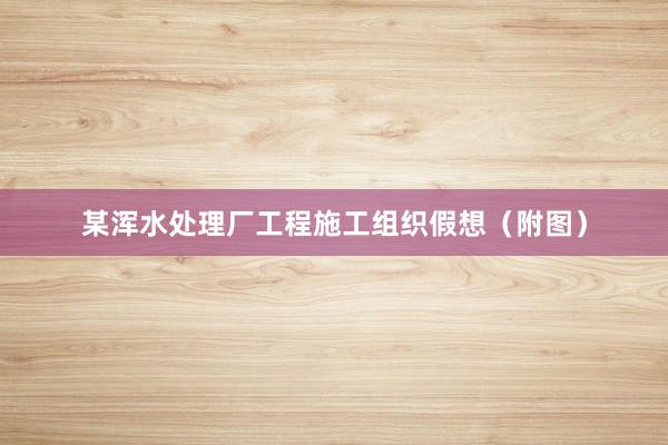 某浑水处理厂工程施工组织假想（附图）