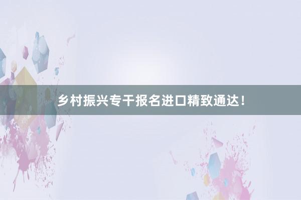 乡村振兴专干报名进口精致通达！